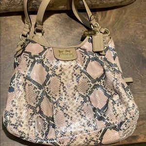 Snakeskin Coach purse
